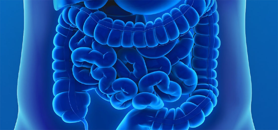 Transplante de Microbiota Fecal