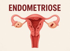 WhatsApp Image 2025-11-07 at 09.36.27