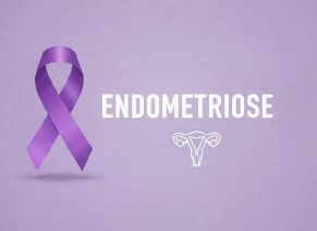 WhatsApp Image 2025-11-10 at 11.04.49